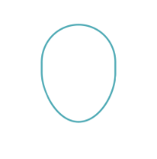 Icon customer